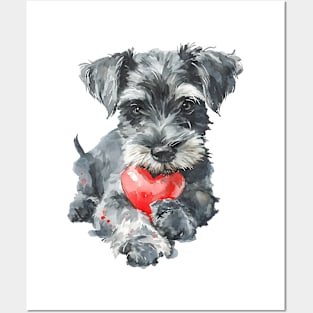 Valentine Miniature Schnauzer Holding Heart Posters and Art